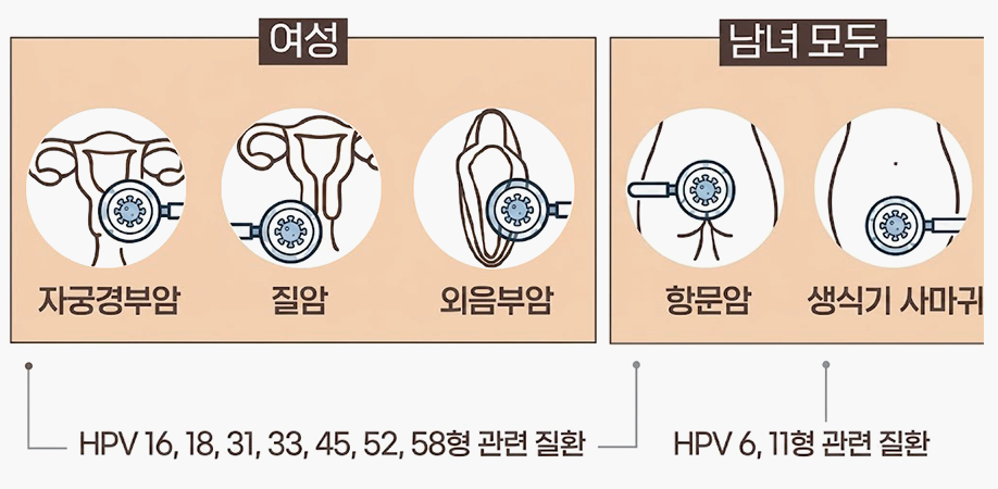 이미지명